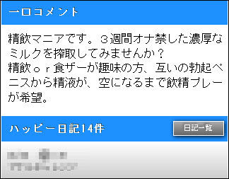 �n�b�s�[���[���iHAPPYMAIL�j�Q�C����������ݏڍ�3